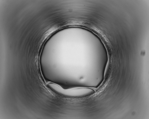 X0000098031121200804181222