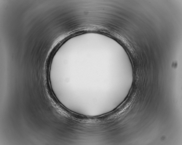 X0000098031122200804181222