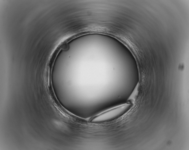 X0000098031123200804181222