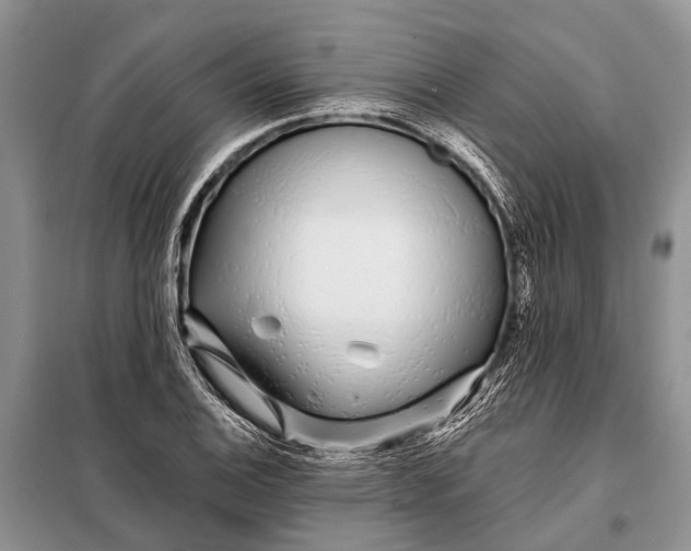 X0000098031124200804181222