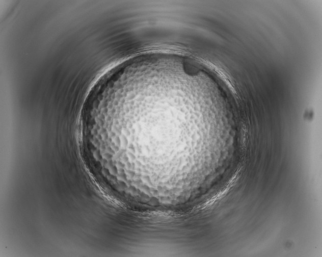 X0000098031125200804181222