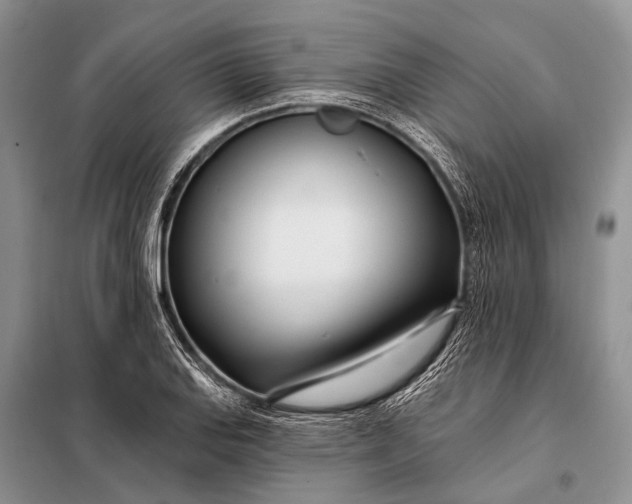 X0000098031127200804181222