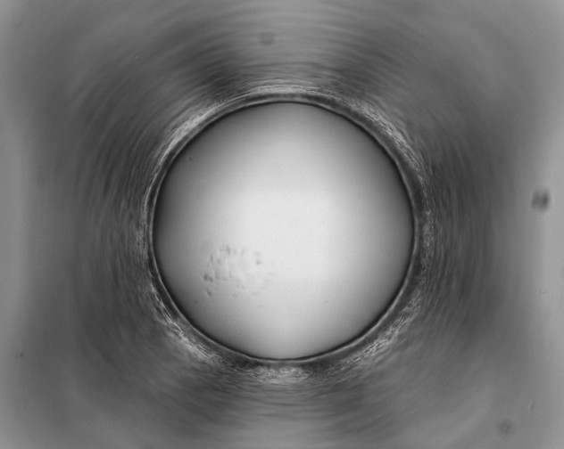 X0000098031129200804181222