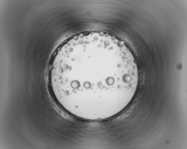 X0000098031130200804181222