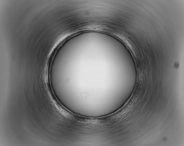 X0000098031131200804181222