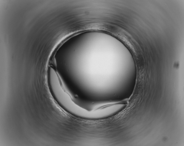 X0000098031132200804181222