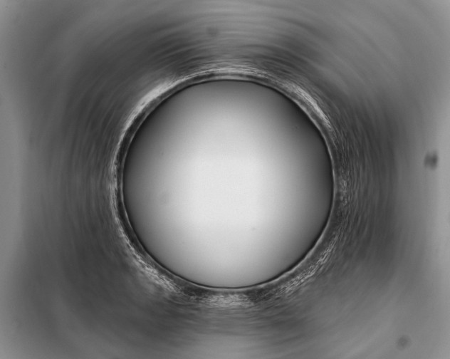 X0000098031133200804181222