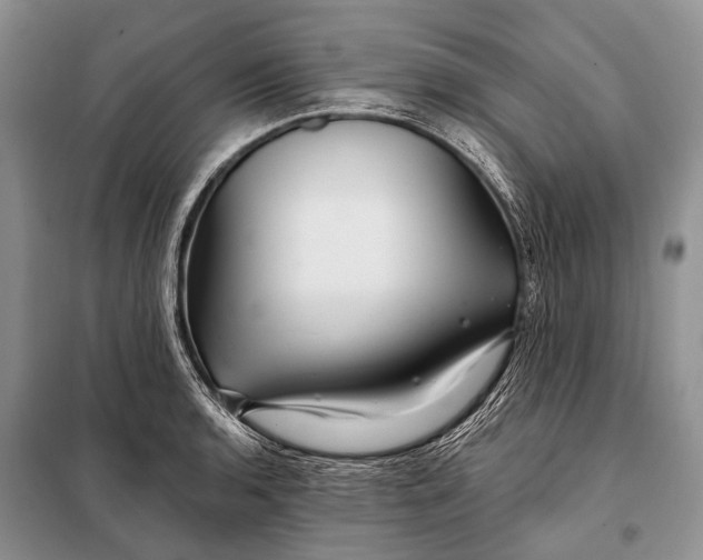 X0000098031136200804181223