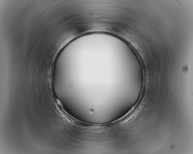 X0000098031137200804181223