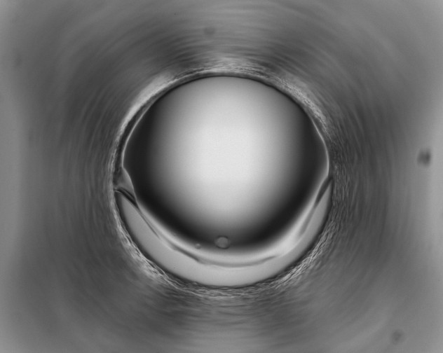 X0000098031138200804181223