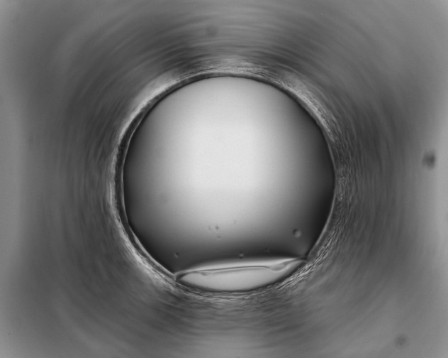 X0000098031139200804181223