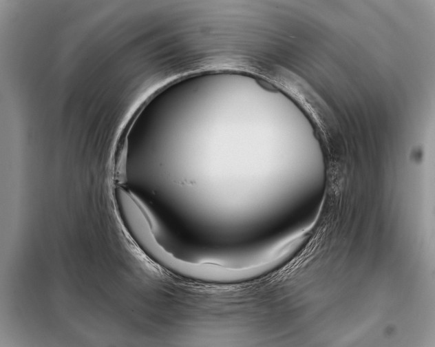 X0000098031140200804181223