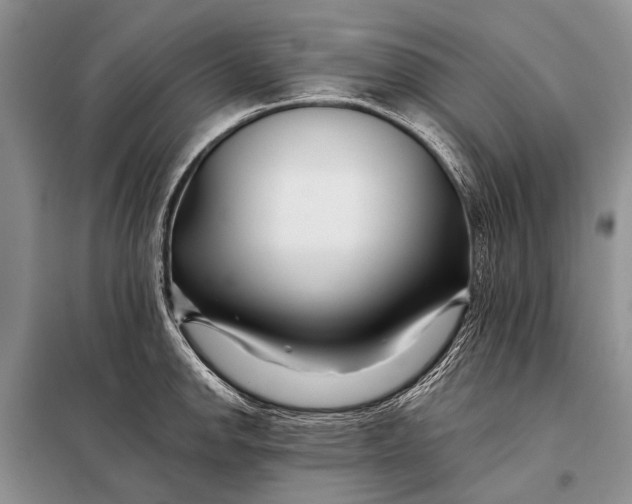 X0000098031142200804181223