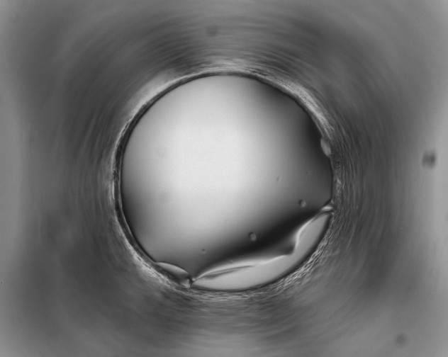 X0000098031143200804181223