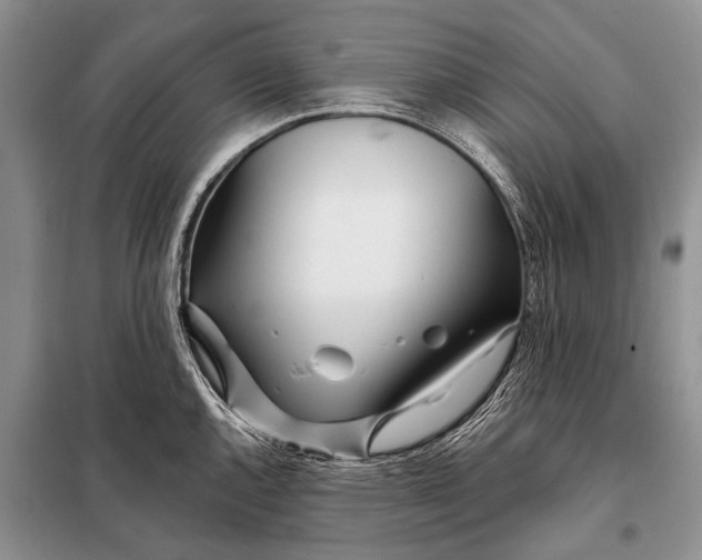 X0000098031144200804181223