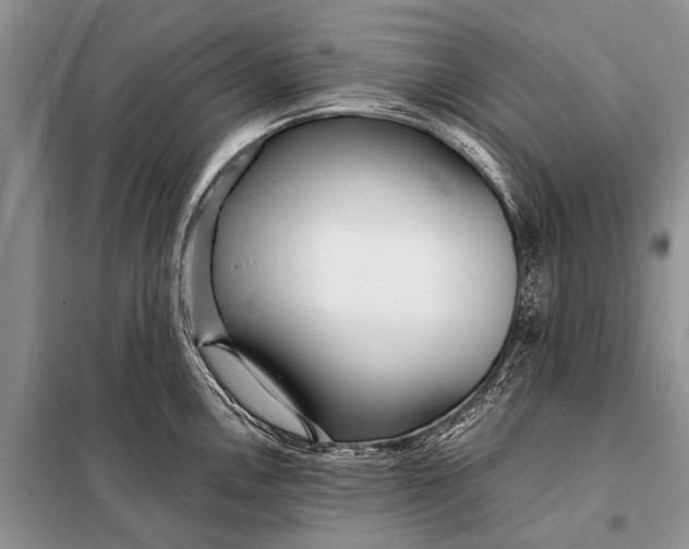 X0000098031146200804181223