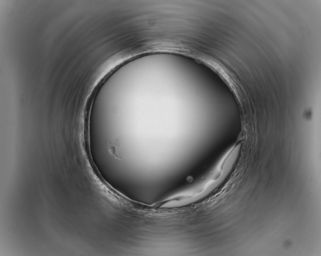 X0000098031147200804181223