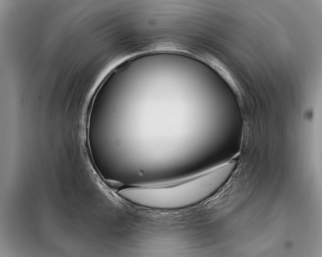 X0000098031148200804181223