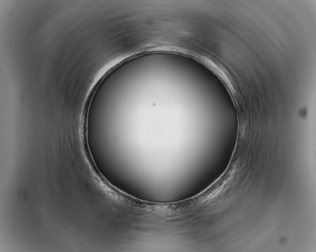 X0000098031149200804181223