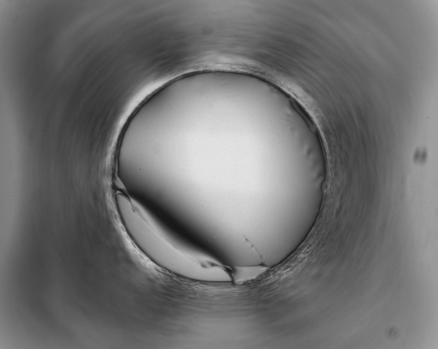 X0000098031152200804181223