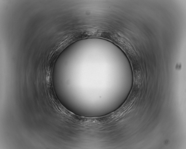 X0000098031154200804181222