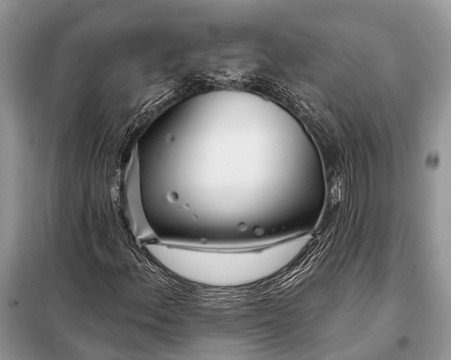 X0000098031156200804181222