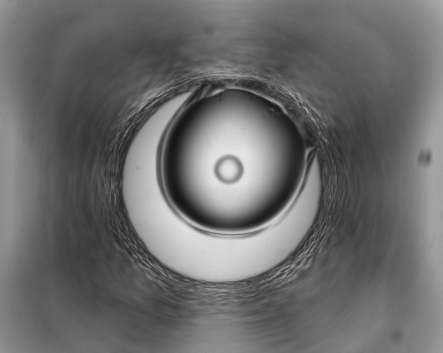 X0000098031157200804181222