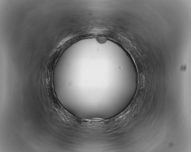 X0000098031158200804181222