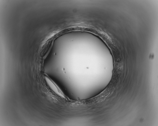 X0000098031159200804181222