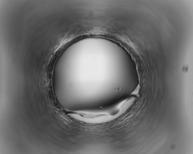 X0000098031160200804181222