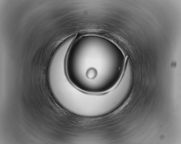 X0000098031161200804181222