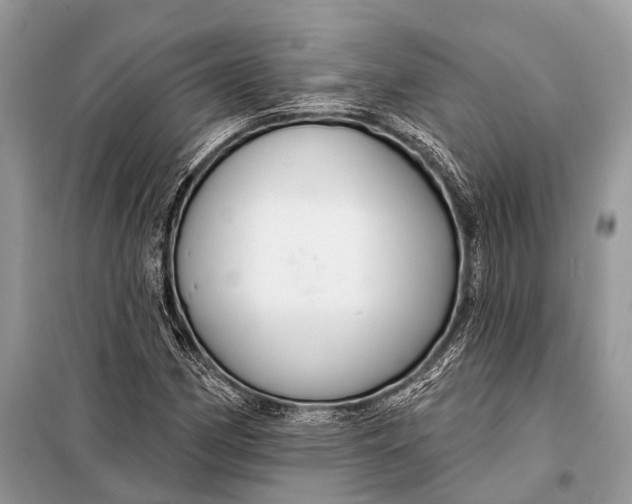 X0000098031162200804181222