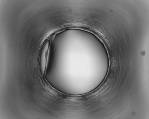 X0000098031163200804181222