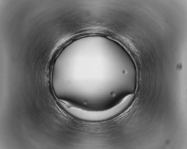 X0000098031164200804181222