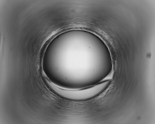 X0000098031165200804181222