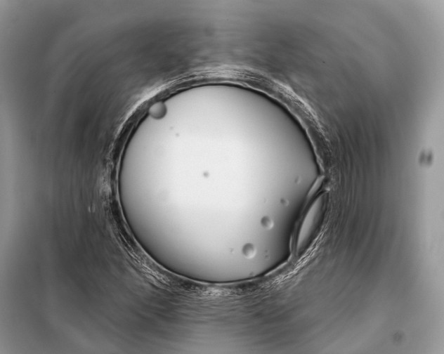 X0000098031166200804181222