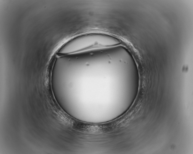 X0000098031167200804181222