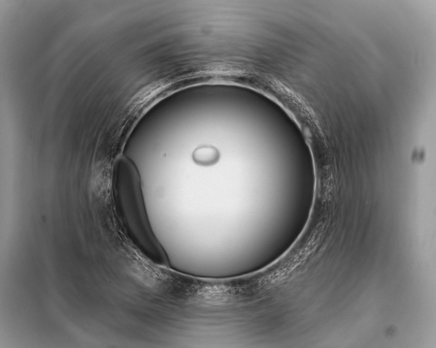 X0000098031169200804181222