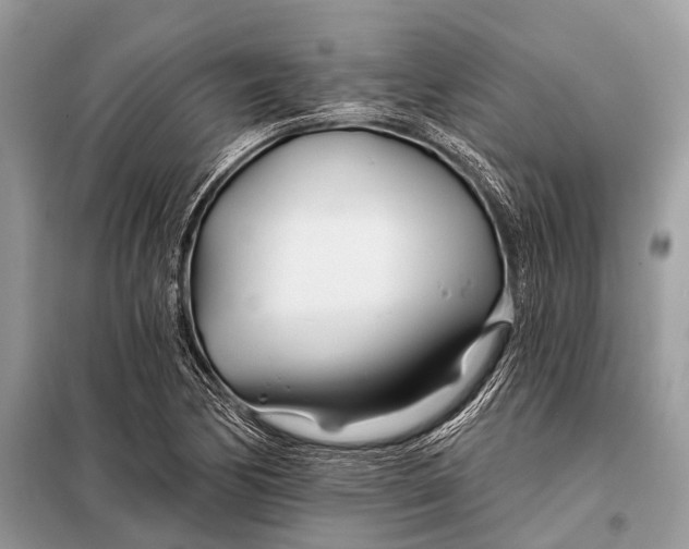 X0000098031170200804181222