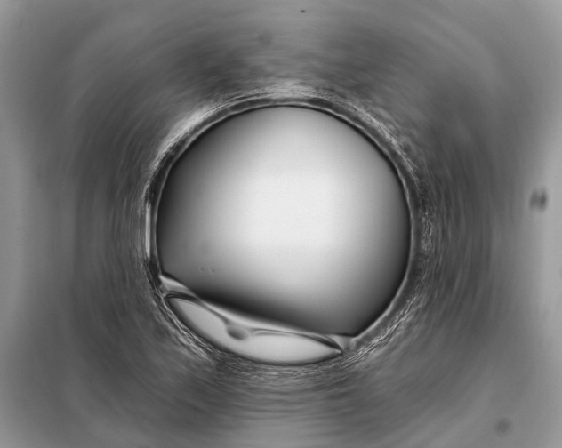 X0000098031171200804181222