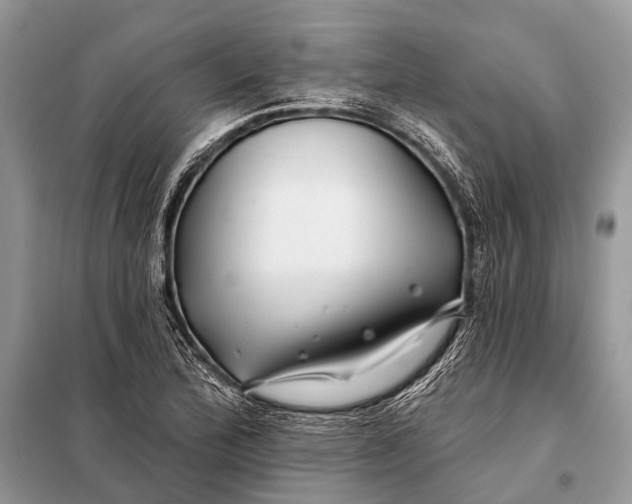 X0000098031172200804181222