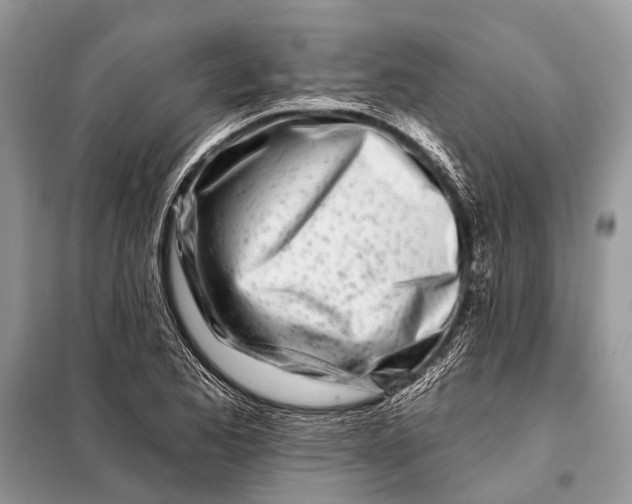 X0000098031173200804181222