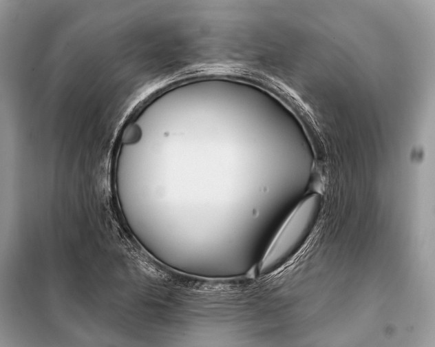 X0000098031174200804181222