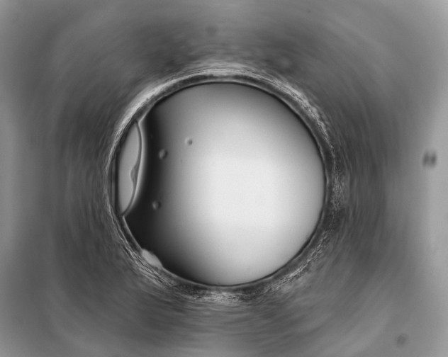 X0000098031175200804181222