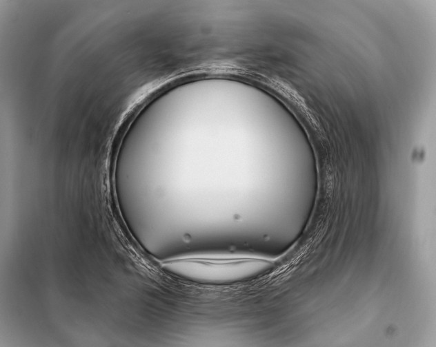 X0000098031176200804181222