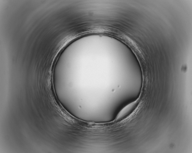 X0000098031178200804181222