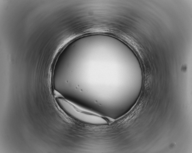 X0000098031179200804181222