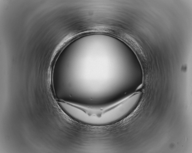 X0000098031180200804181222