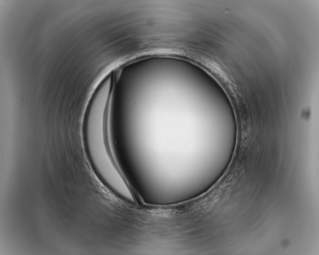 X0000098031181200804181222