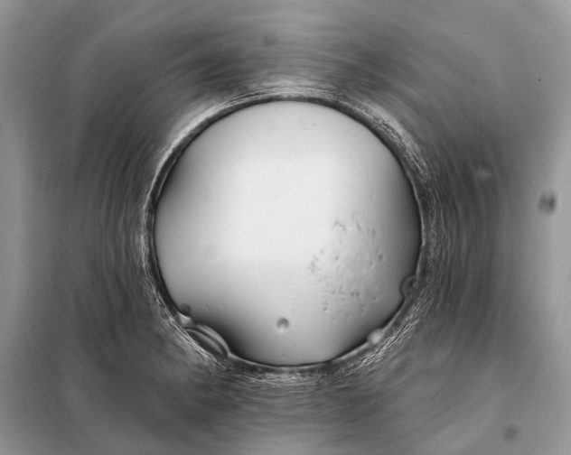 X0000098031182200804181222